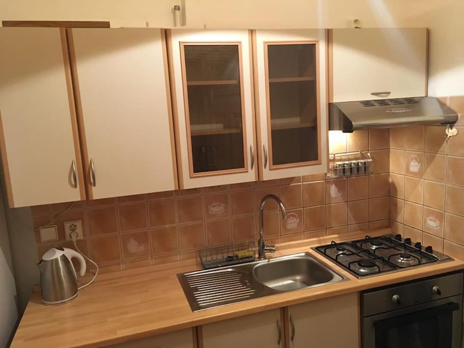 Utulne Ubytovani U Centra V Blizkosti Vystaviste Brno Ngoại thất bức ảnh